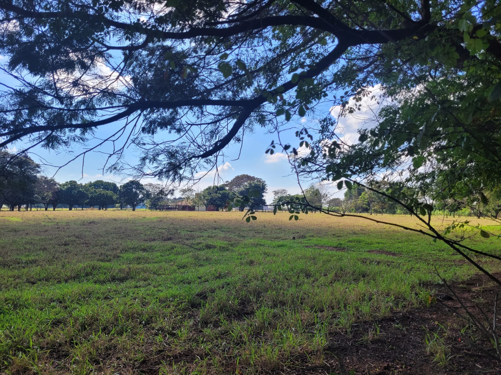 Chácara em Água Vermelha — 23.680 m² — foto 12