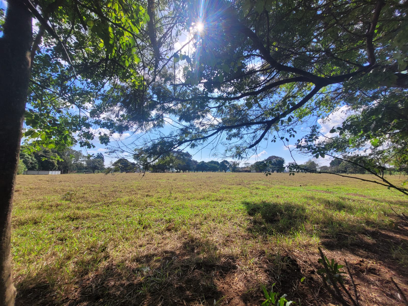 Chácara em Água Vermelha — 23.680 m² — foto 14