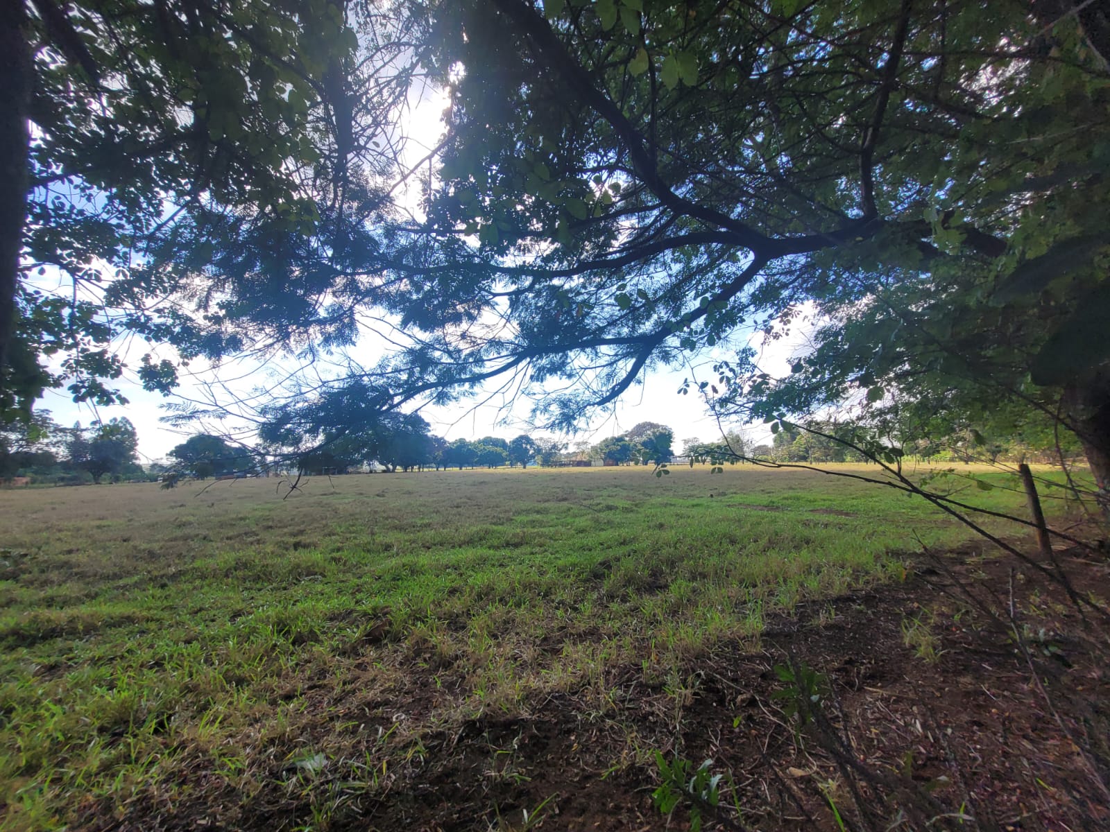 Chácara em Água Vermelha — 23.680 m² — foto 15