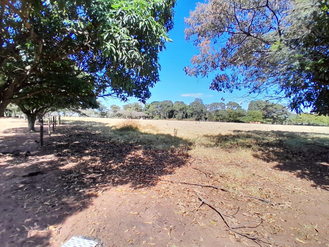 Chácara em Água Vermelha — 23.680 m² — foto 4