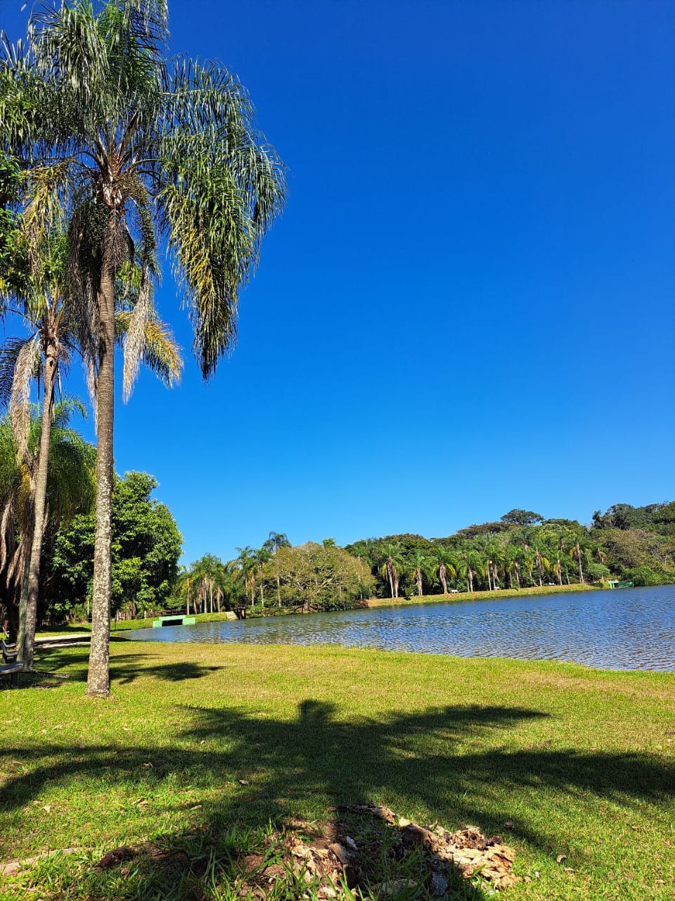 Casa para Alugar no Parque Itaipu — 5.000 m² — foto 12