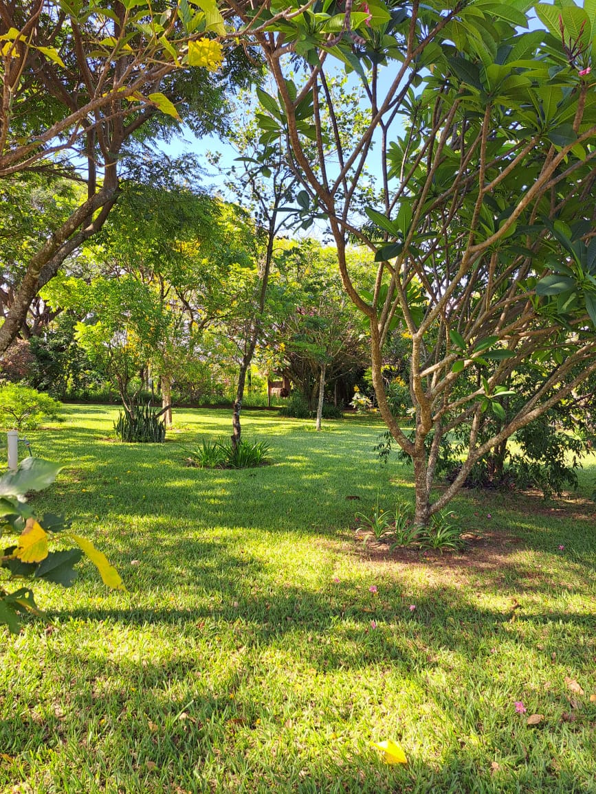 Casa para Alugar no Parque Itaipu — 5.000 m² — foto 17