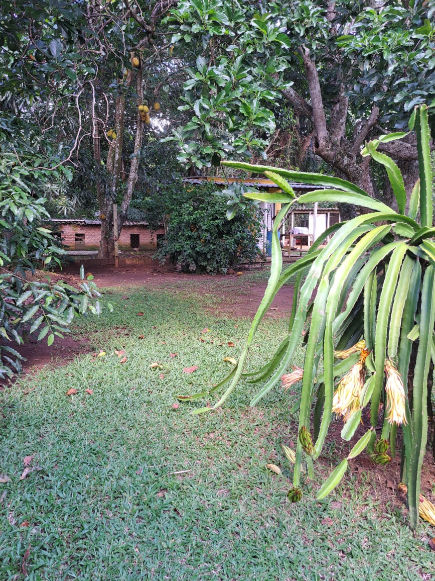 Casa para Alugar no Parque Itaipu — 5.000 m² — foto 18