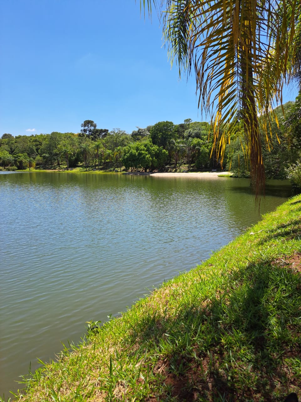 Casa para Alugar no Parque Itaipu — 5.000 m² — foto 9