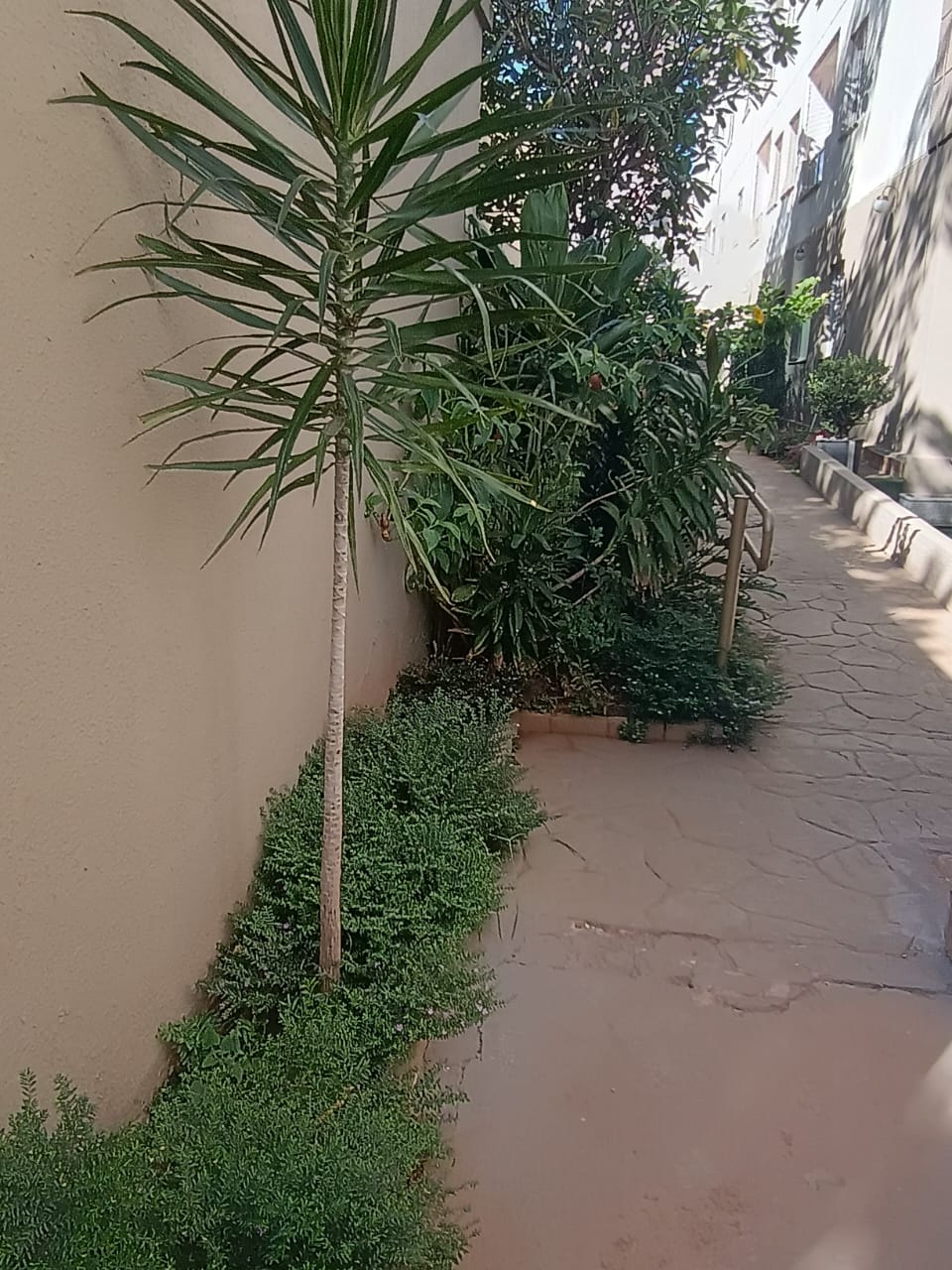 Apartamento Spazio Mont Dore — Jardim Paraíso — foto 4