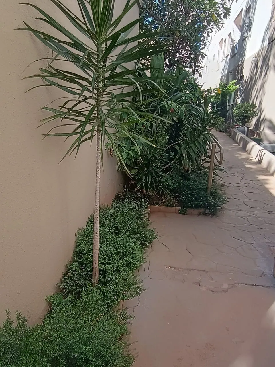 Apartamento Spazio Mont Dore — Jardim Paraíso — foto 4