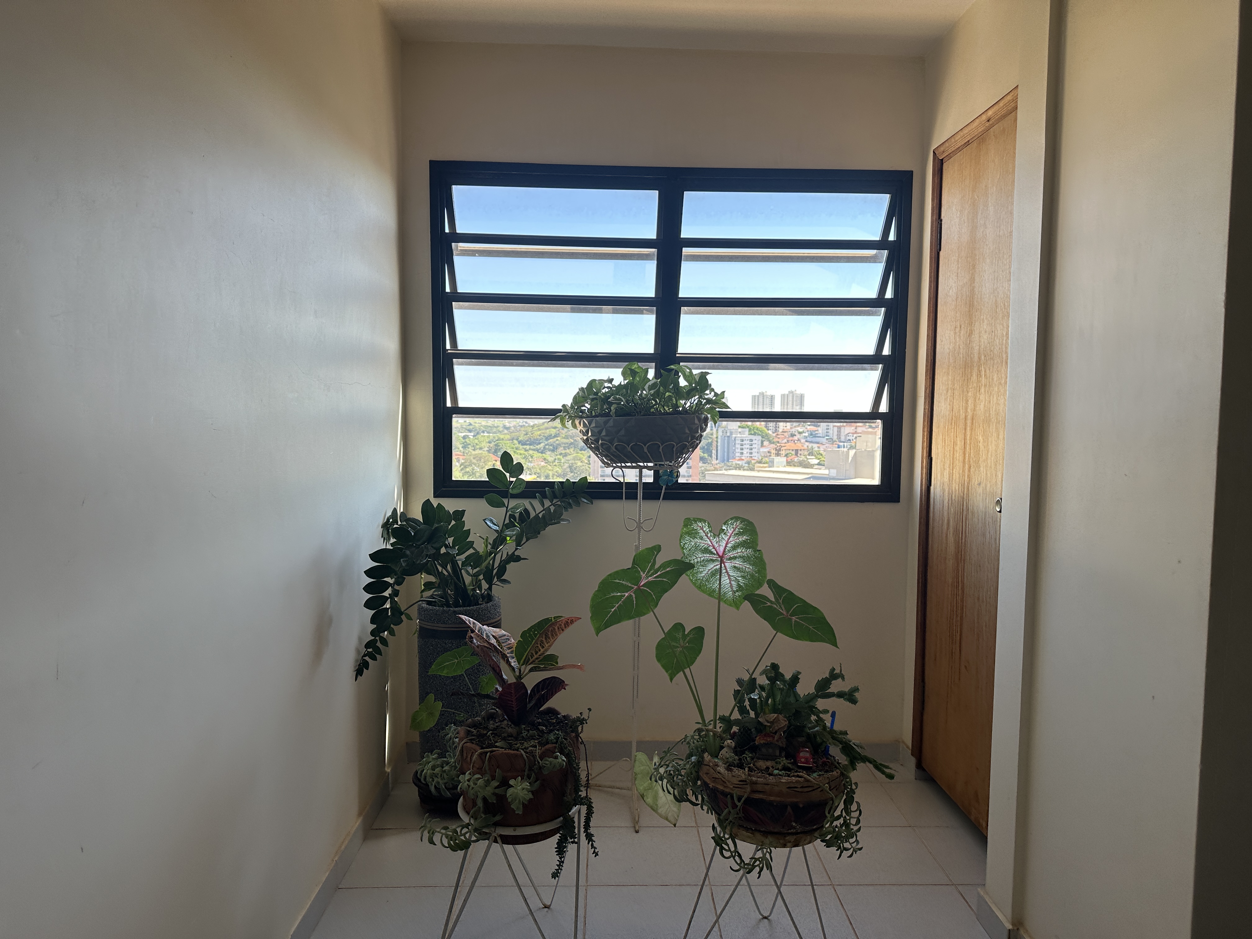 Apartamento Duplex e Cobertura — Jardim Paraíso — foto 11