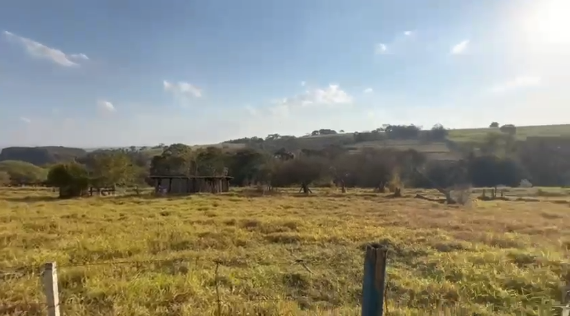 Chácara Premium com Cafezal — 54.690 m² — foto 4