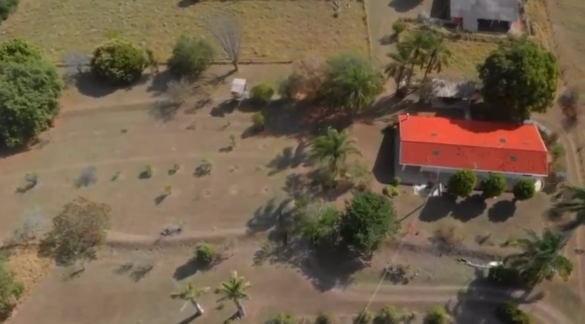 Chácara Premium com Cafezal — 54.690 m² — foto 7