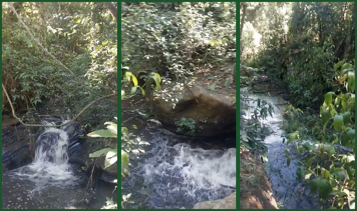 Chácara Premium com Cafezal — 54.690 m² — foto 2