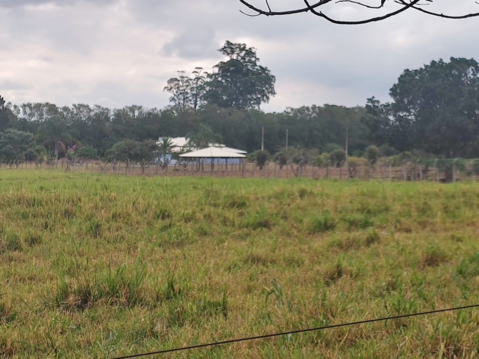 Chácara com Pasto e Suíte — 24.000 m² — foto 2