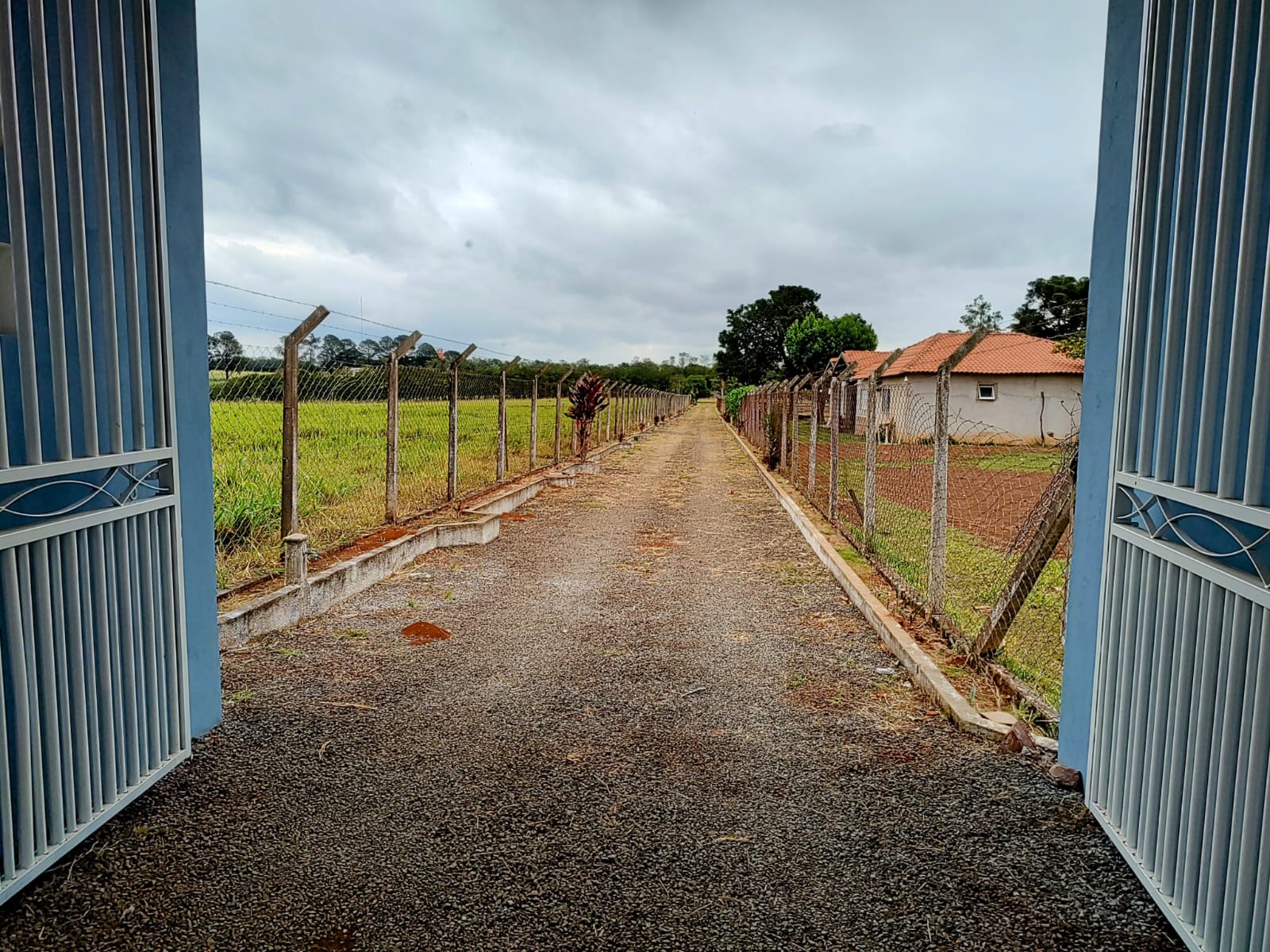 Chácara com Pasto e Suíte — 24.000 m² — foto 23