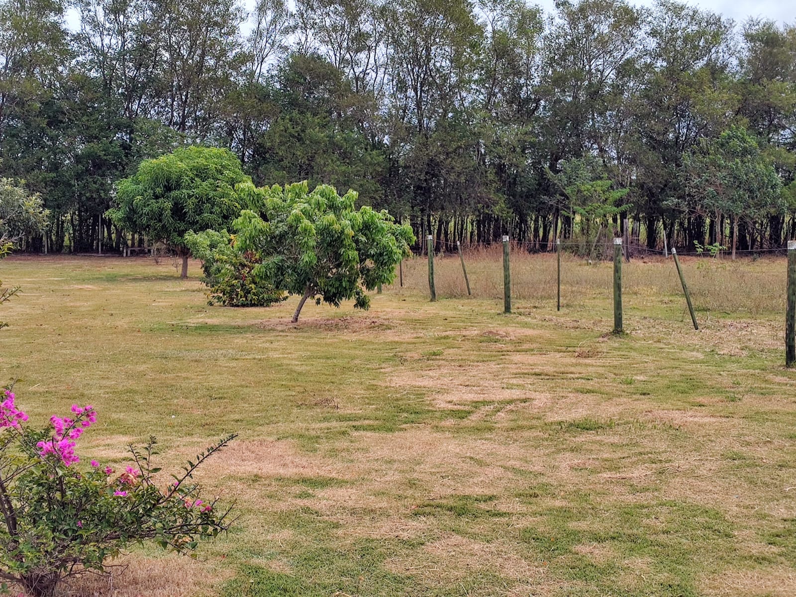 Chácara com Pasto e Suíte — 24.000 m² — foto 24
