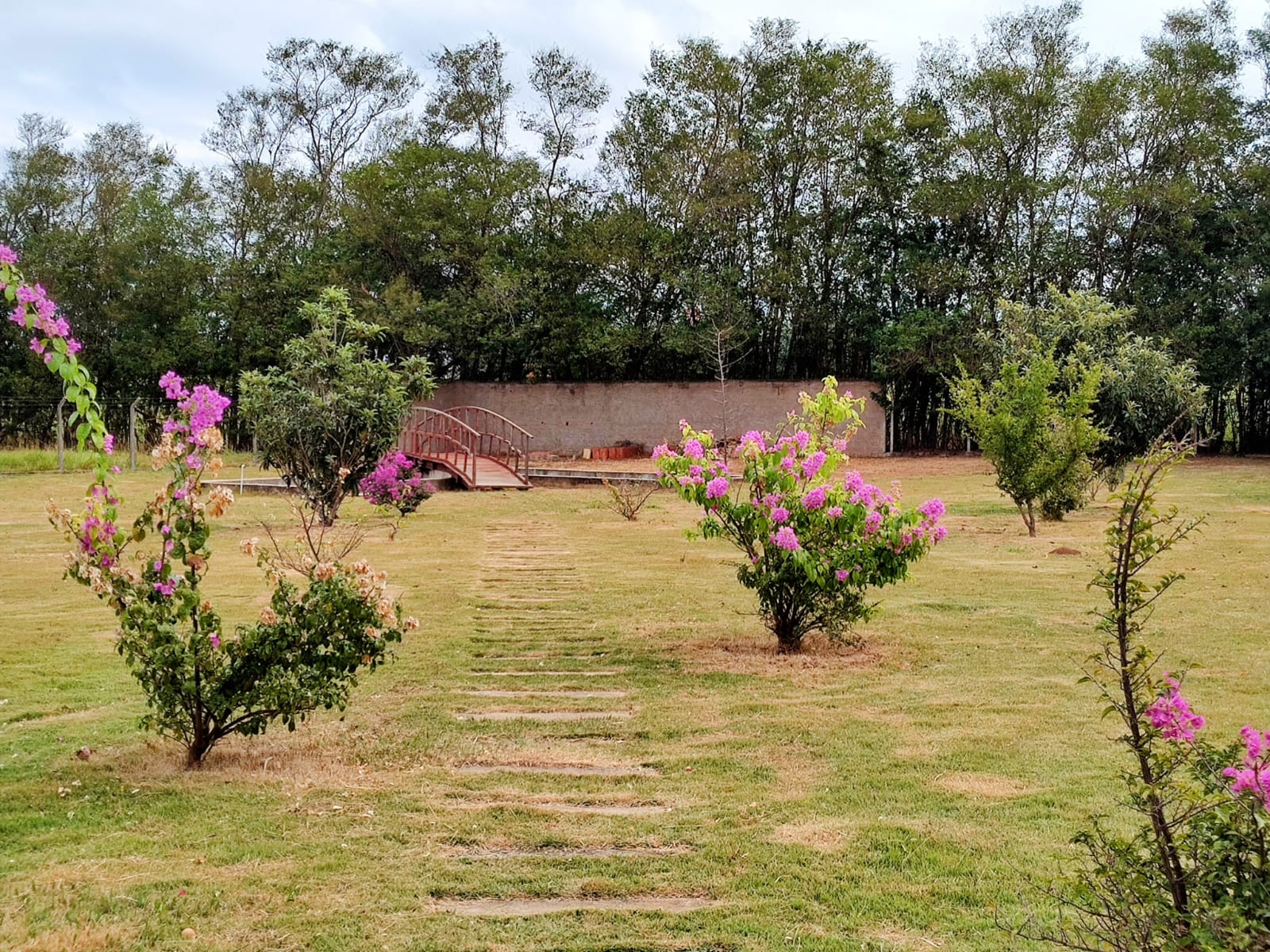 Chácara com Pasto e Suíte — 24.000 m² — foto 28