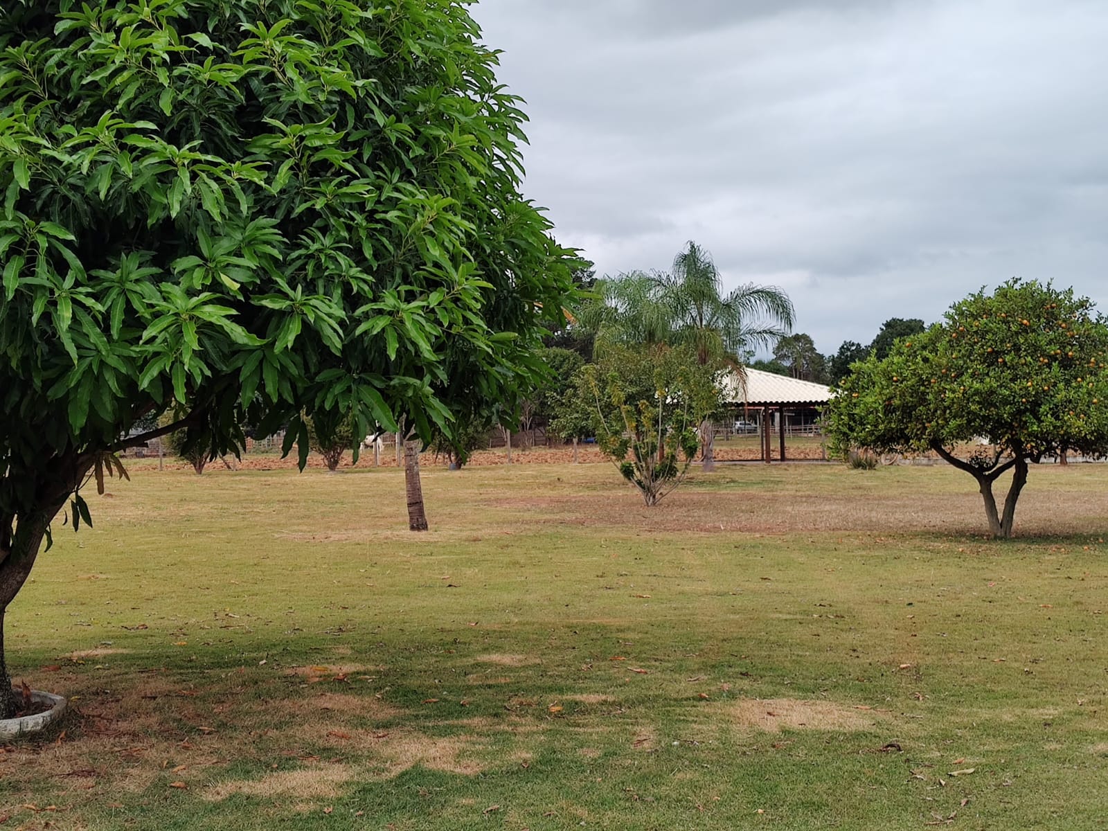 Chácara com Pasto e Suíte — 24.000 m² — foto 31