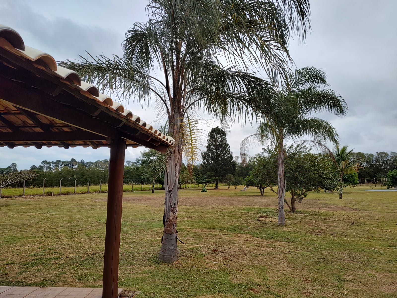 Chácara com Pasto e Suíte — 24.000 m² — foto 32