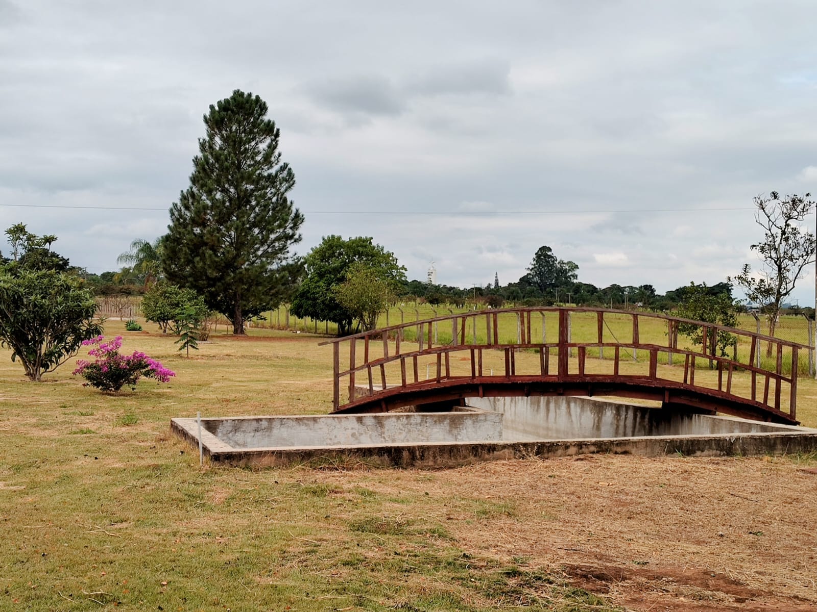 Chácara com Pasto e Suíte — 24.000 m² — foto 33