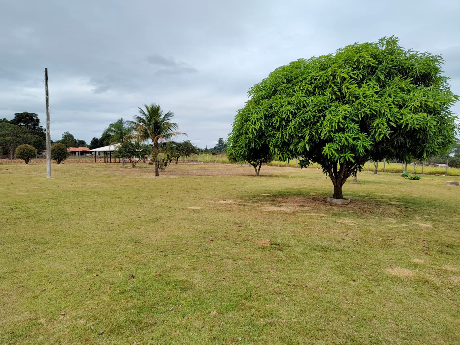 Chácara com Pasto e Suíte — 24.000 m² — foto 35