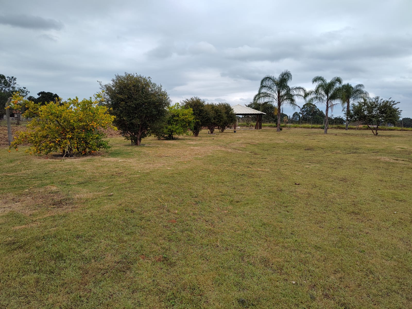 Chácara com Pasto e Suíte — 24.000 m² — foto 37