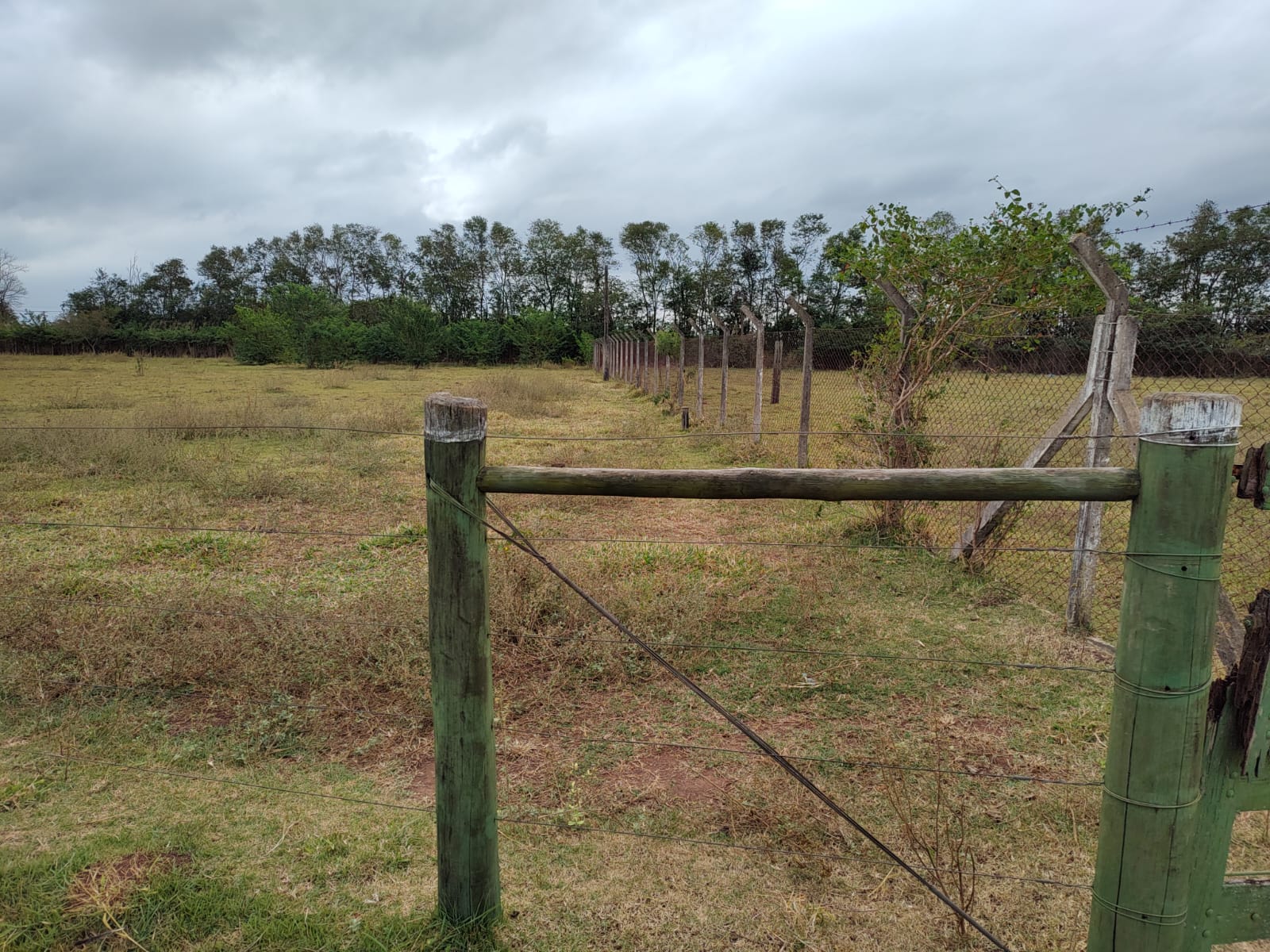 Chácara com Pasto e Suíte — 24.000 m² — foto 40