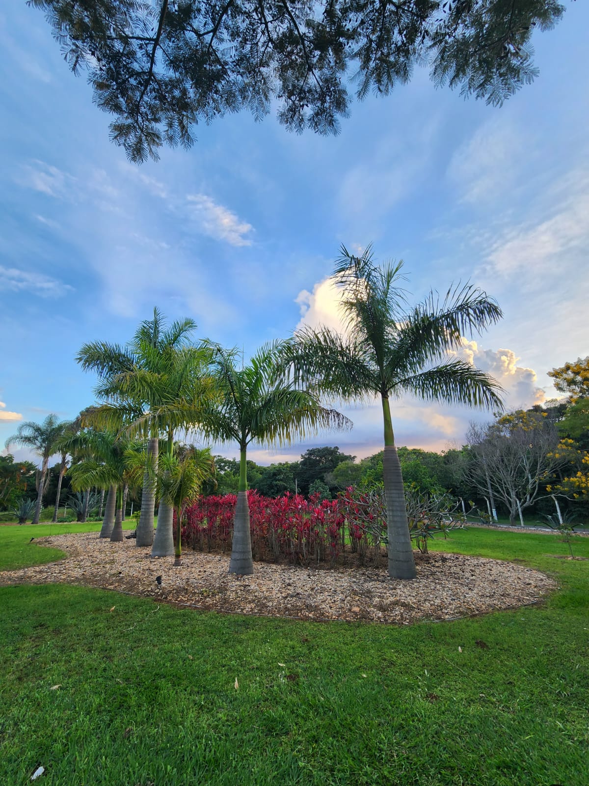 Chácara Completa com Suíte Externa — 5.520 m² — foto 44