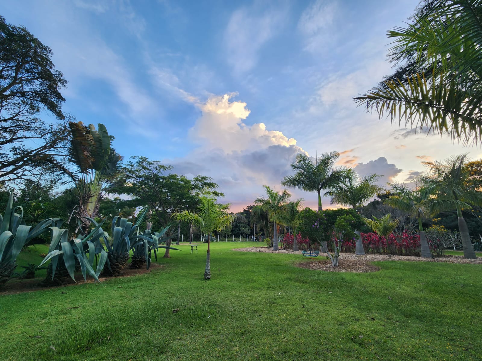 Chácara Completa com Suíte Externa — 5.520 m² — foto 46