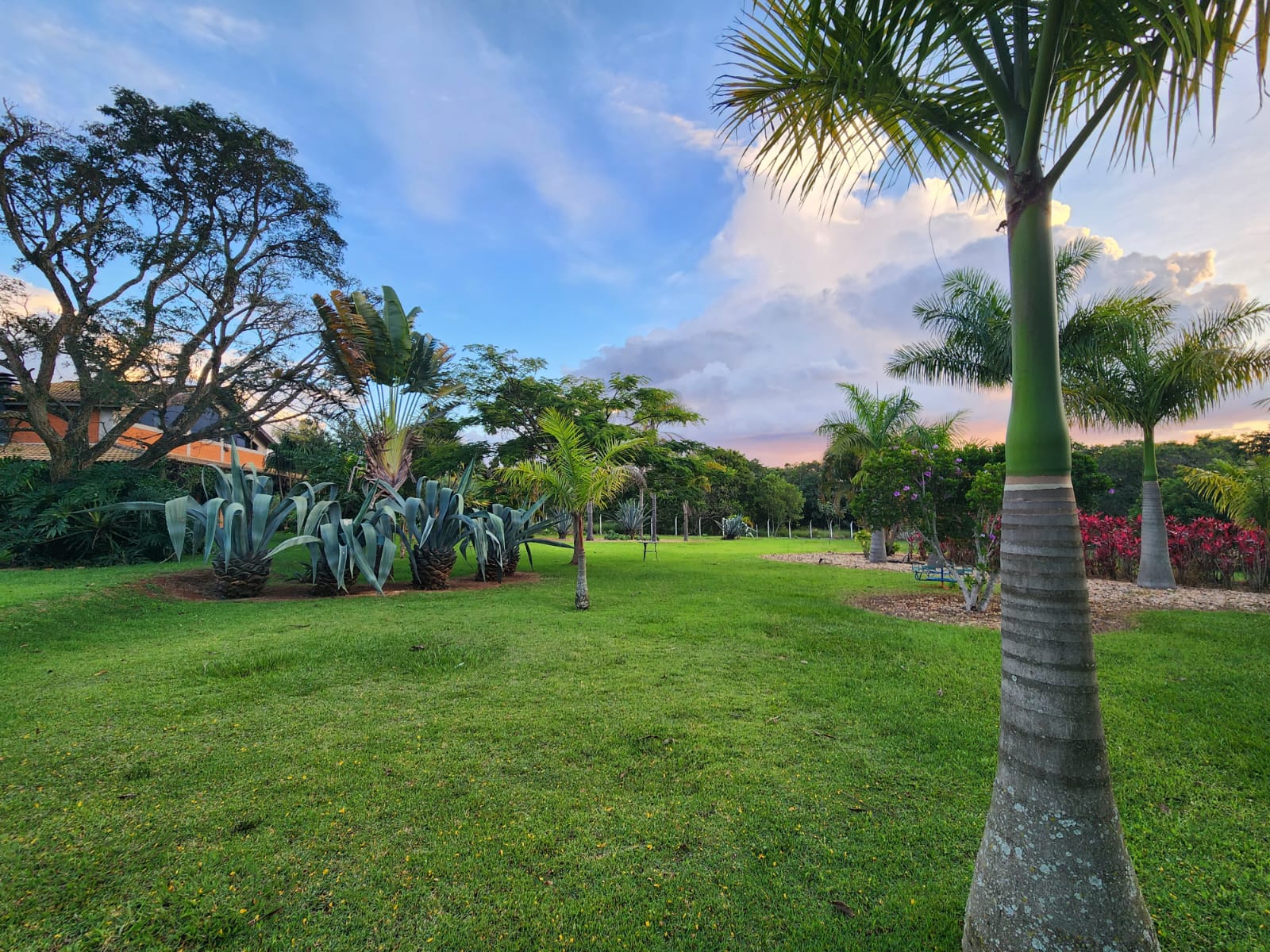 Chácara Completa com Suíte Externa — 5.520 m² — foto 47