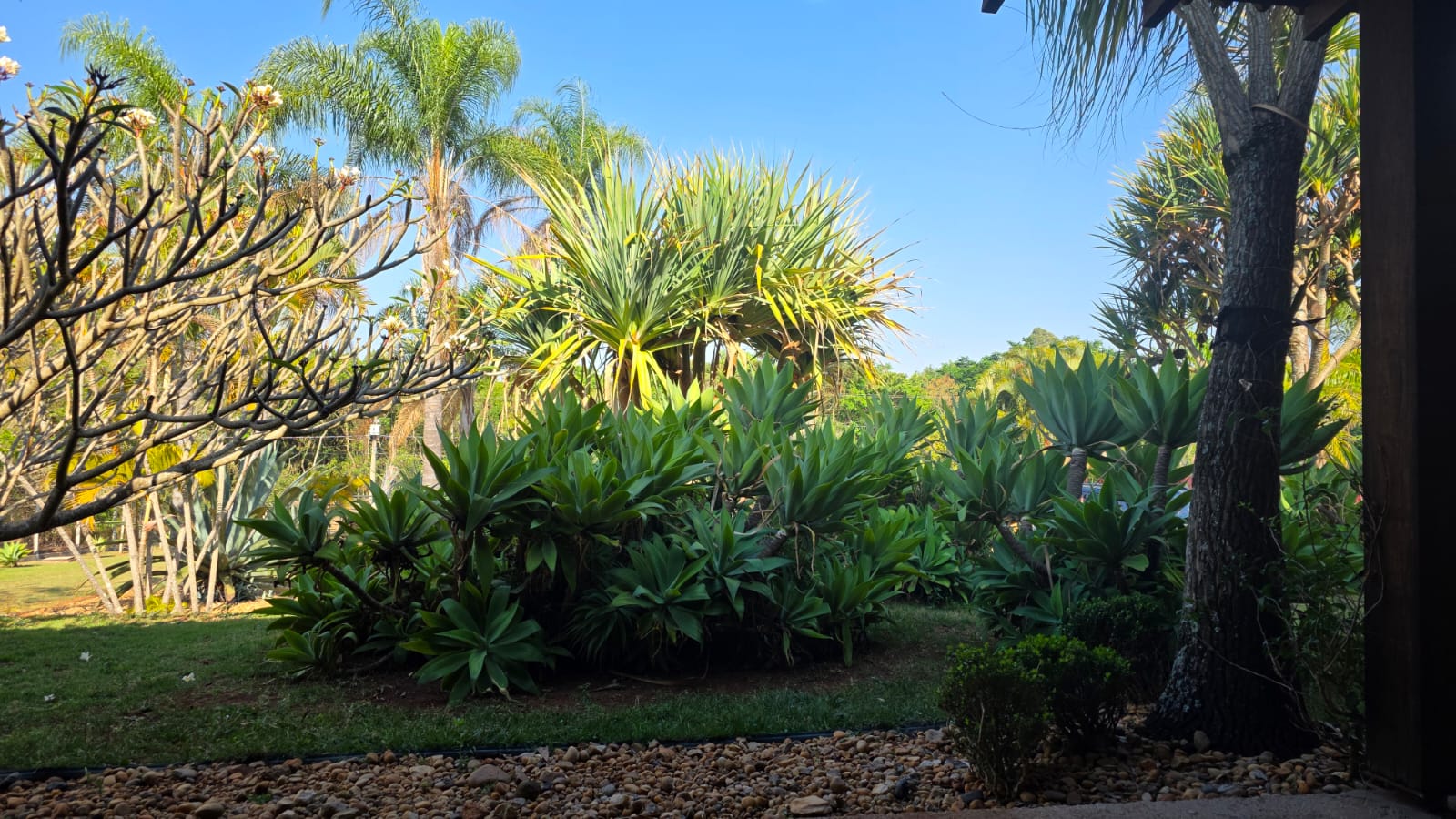 Chácara Completa com Suíte Externa — 5.520 m² — foto 5