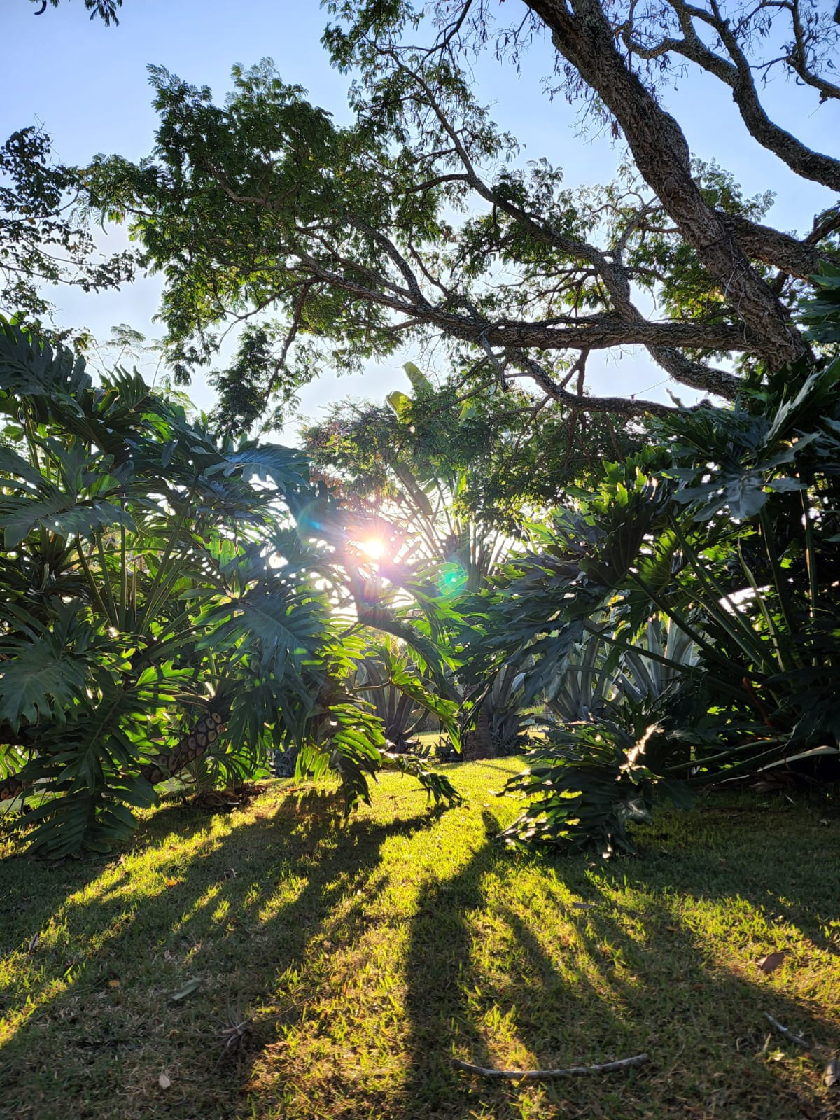 Chácara Completa com Suíte Externa — 5.520 m² — foto 8